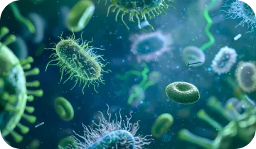 Brand illustration of rod and round shaped microbes in blue and green tones